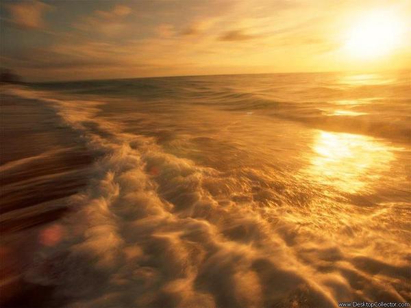 Ирина Гусева