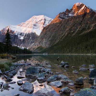 Алексей Ищенко