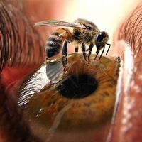 Евгений Рыбалко