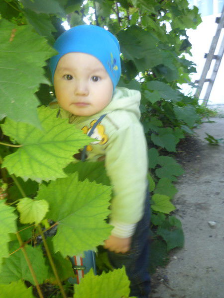 Гульжан Касенова