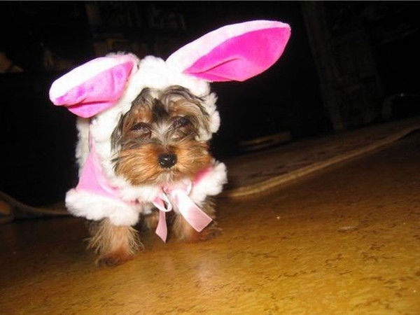 Наталья Васильева