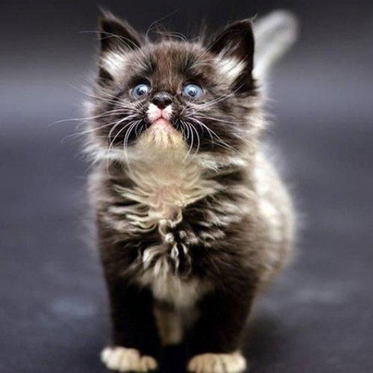 Надежда Пашкова