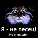 Асахи Торуто