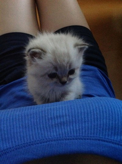 Алёна Власова