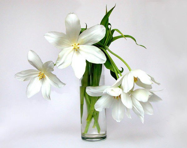 Ольга Кликунова