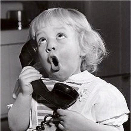 Ежевика Лесная