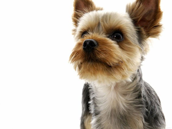 Карина Данилова