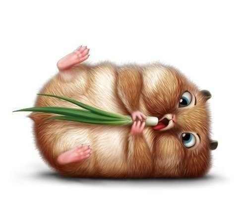 Алексей Ошкин