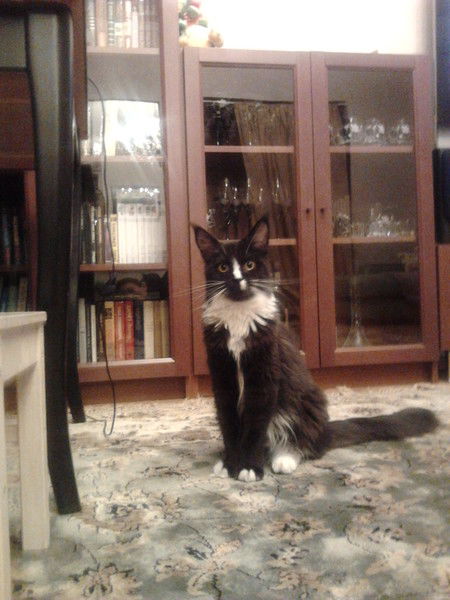 Земфира Криволапова