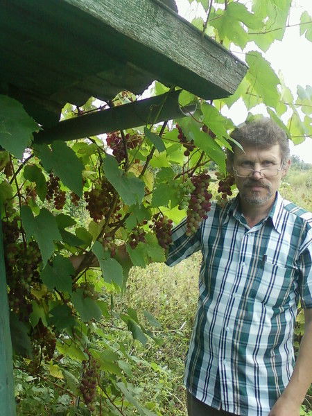 Валерий Андарало