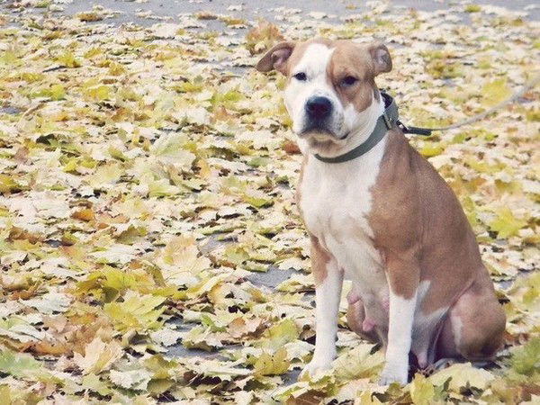 Виктор Макеров