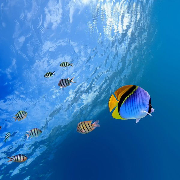 Ольга Потемкина