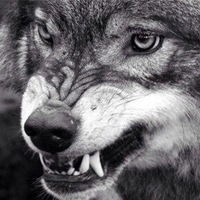 Рейхан Джаратов