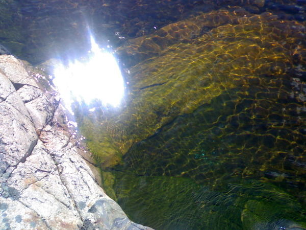 Игорь Моисеев