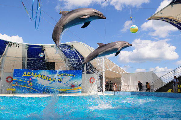 Александр Алекс