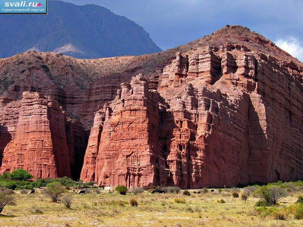 Алексей Никифоров