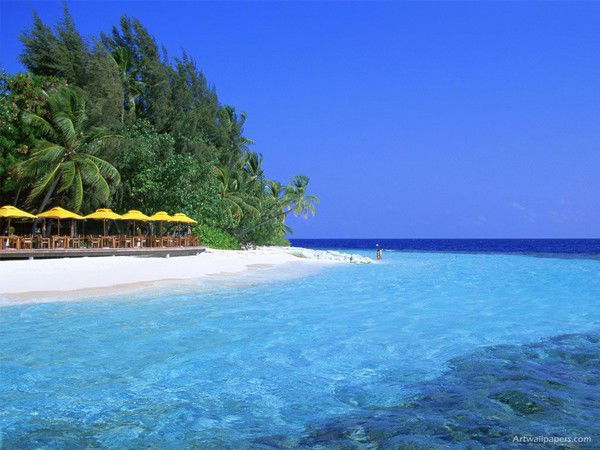 Игорь Александров