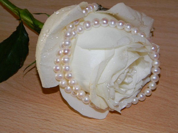 Наталья Архипова