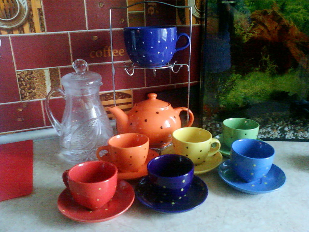 Светлана Елисеева