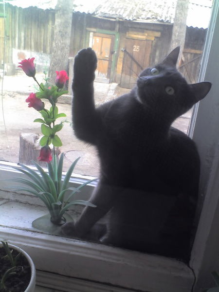 Олег Владимирович