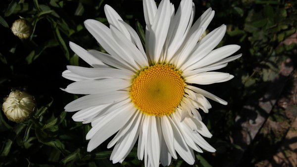 Мария Сусоева