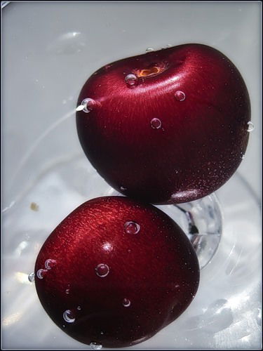 Надежда Пащенко