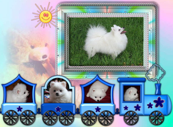 Татьяна Нуждина