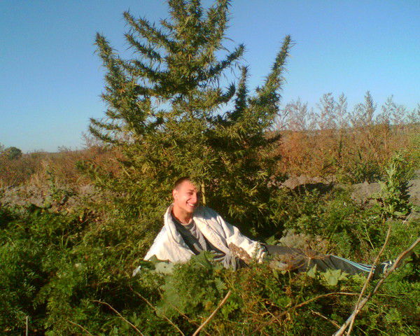 Евгений Гаранин