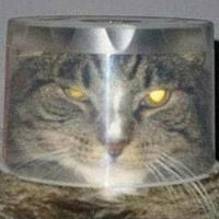 Илья Писарев