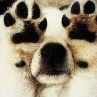 Александра Новикова