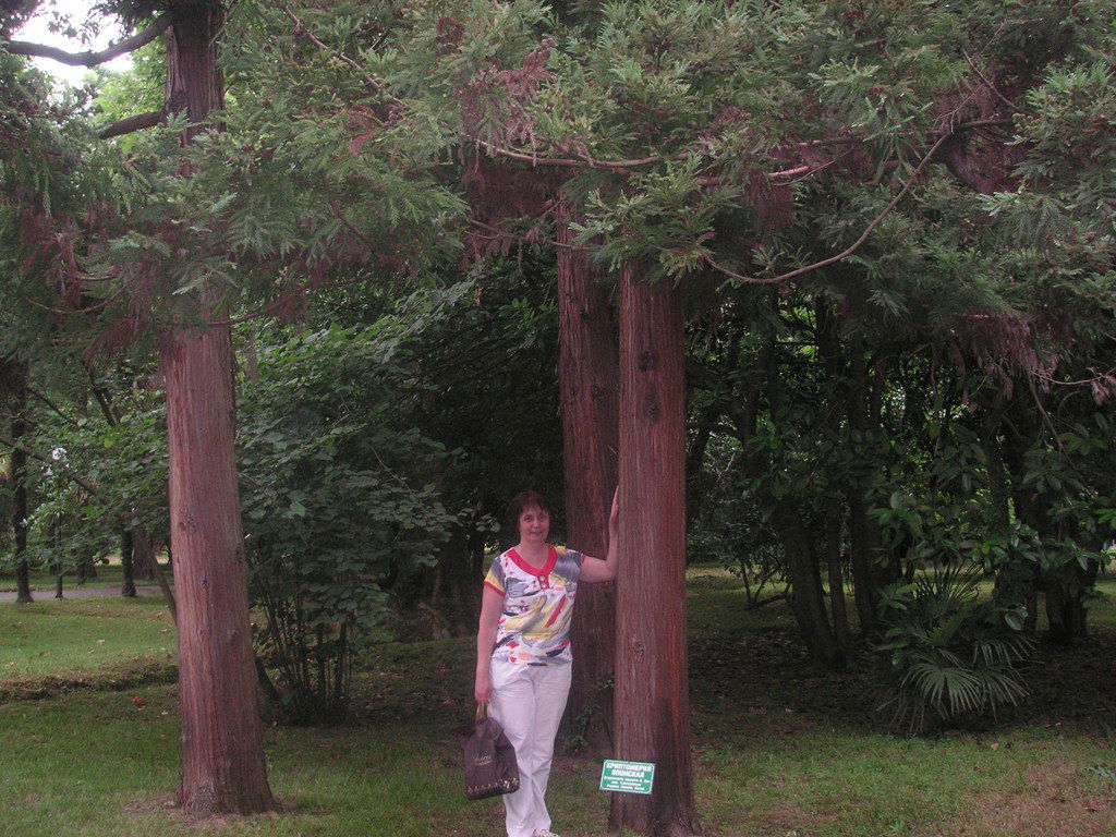 Ирина Климова