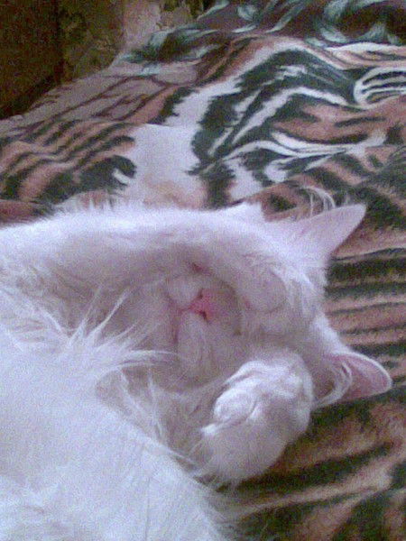 Наталья -:-:-: