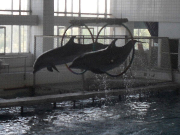 Артем Вальчук