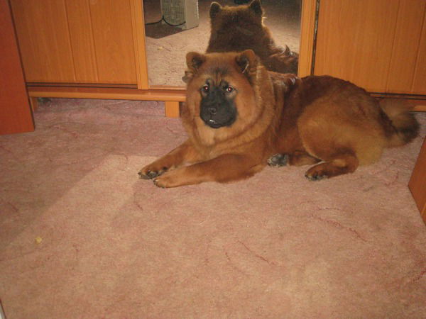 Андрей Алексанян