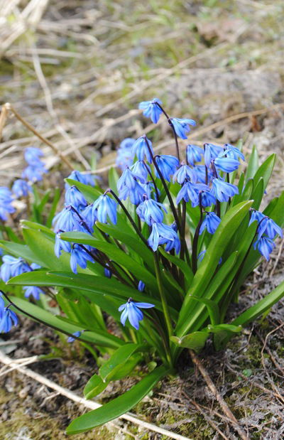 Татьяна Архипова