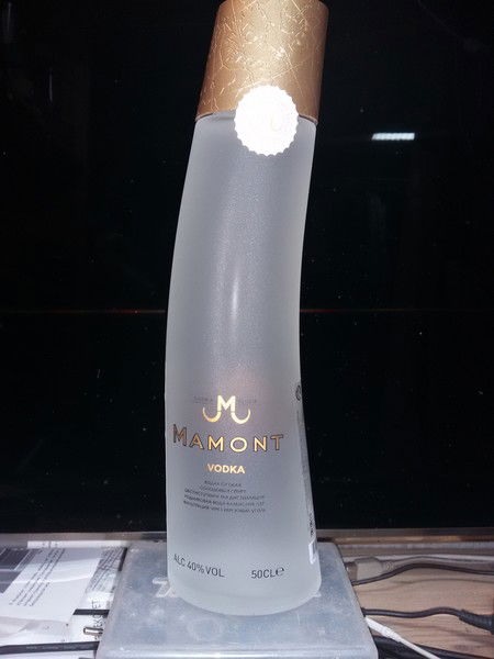 Николай Мамонтов