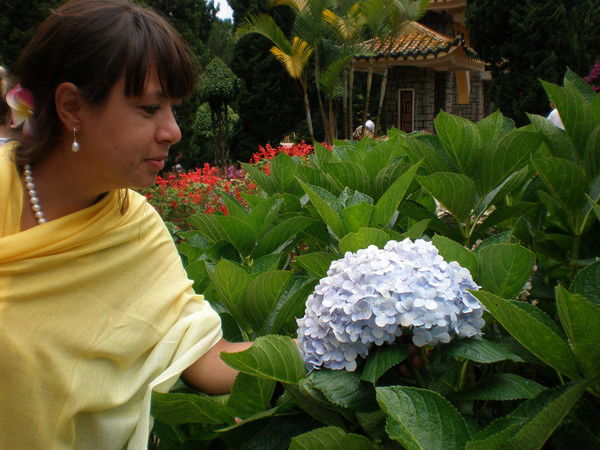 Елена Деревнина