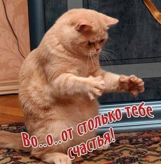 Ирма Петерсон