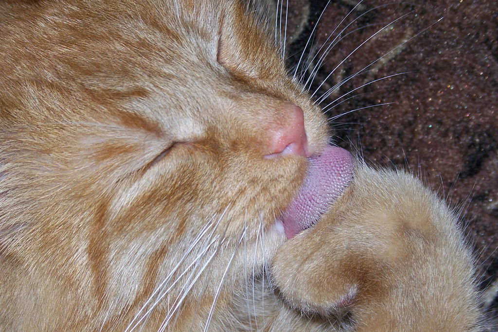 Лариса Закондаева