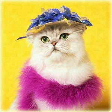 Елена Шереметьева