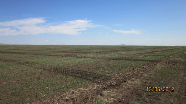 Оборовская Татьяна