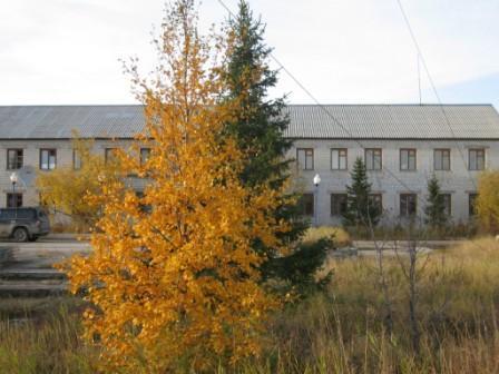 Игп Тиманская