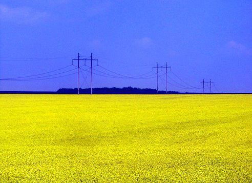 Оксана Гуменюк