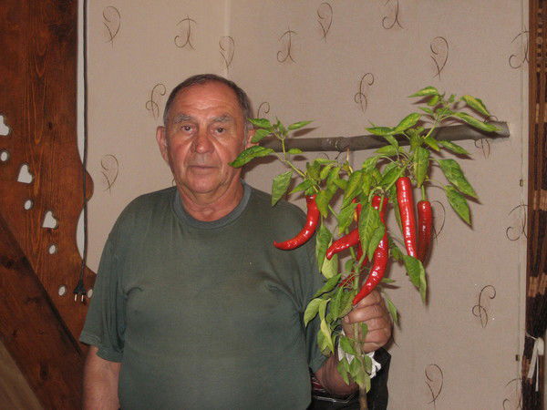 Николай Зубов