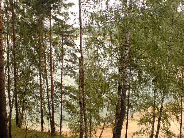 Елена Кореннова