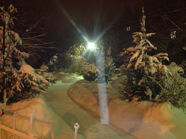 Зарина Талгат