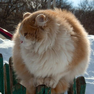 Влад Кузьмин