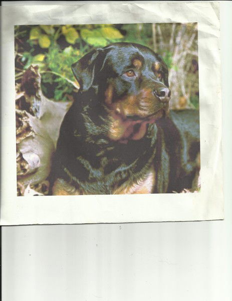 Татьяна Демченко