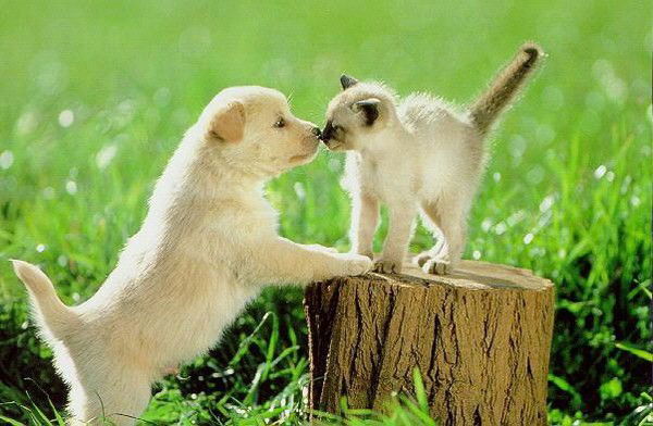 Иван Еременко