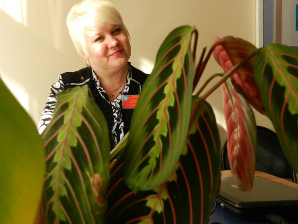 Елена Борисова